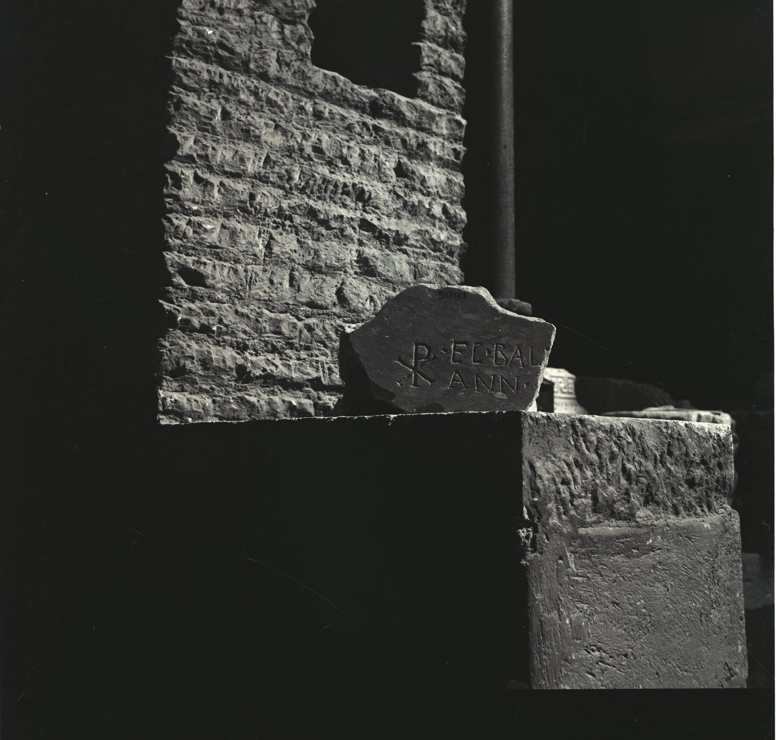 Image76.tif