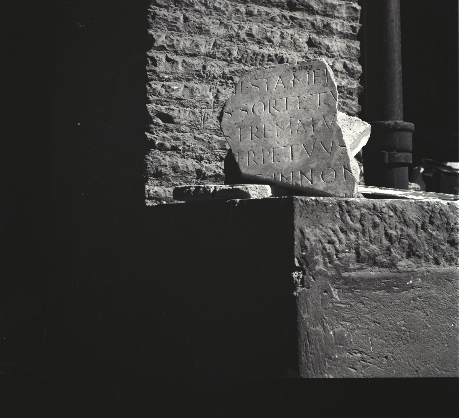 Image77.tif