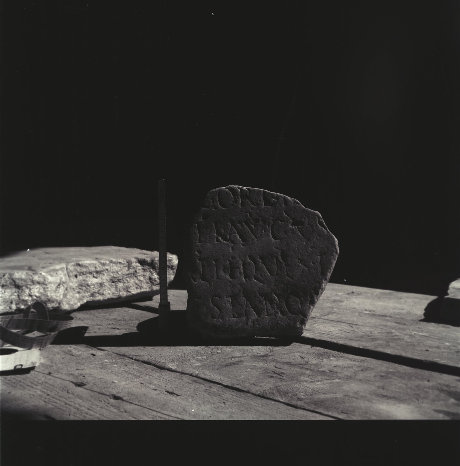 Image92.tif