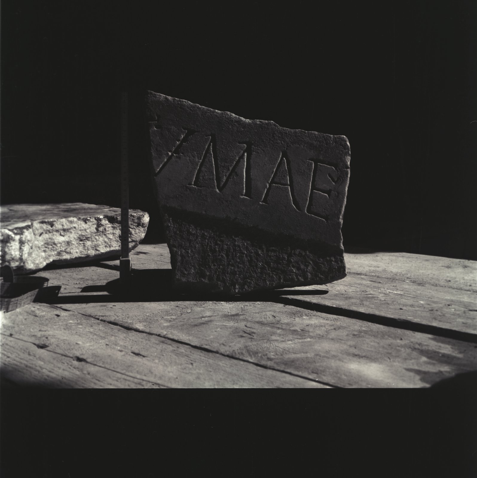Image93.tif