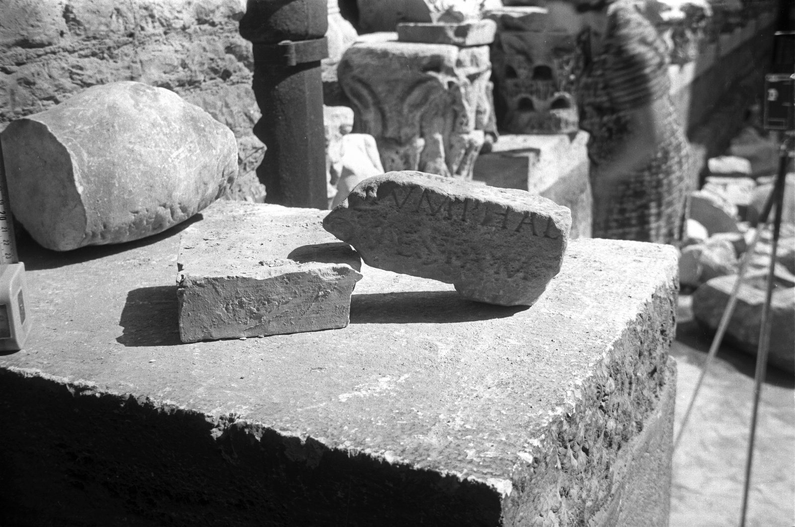 film_00050-058.tif