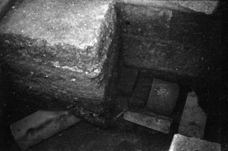1-00006/ 07548/ 16776 - Roma - Palatino - Accanto al Tempio di Cibele