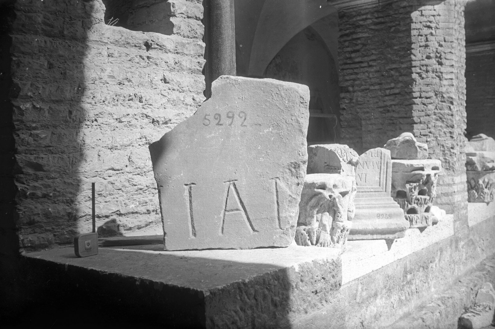 film_00052-015.tif