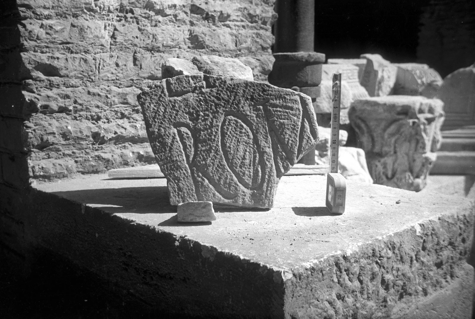film_00052-019.tif