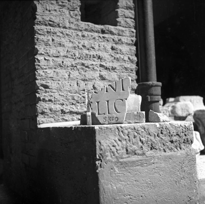 film_00055-002.tif