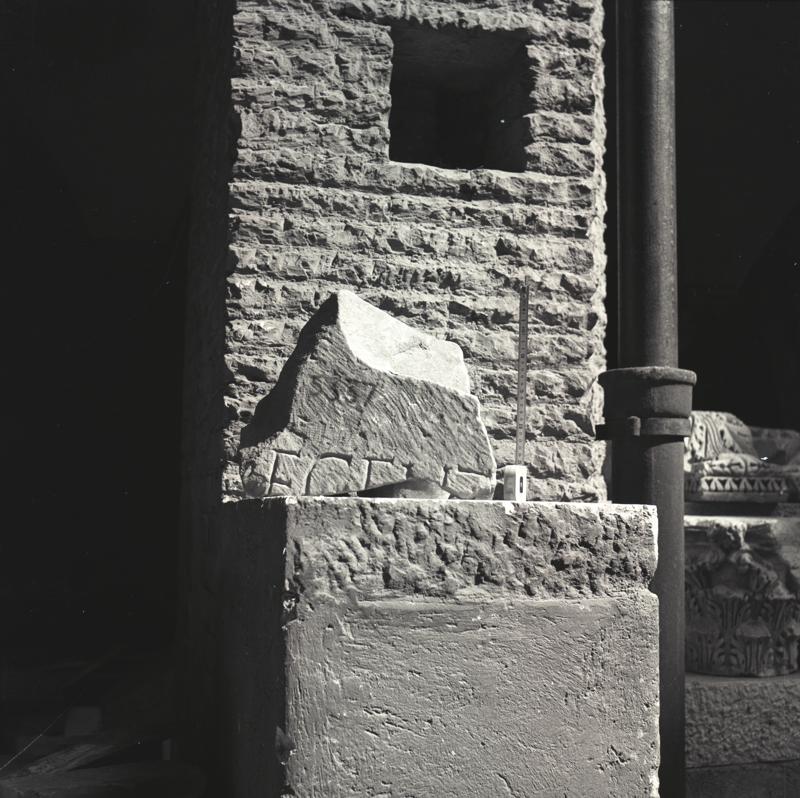 Image38.tif