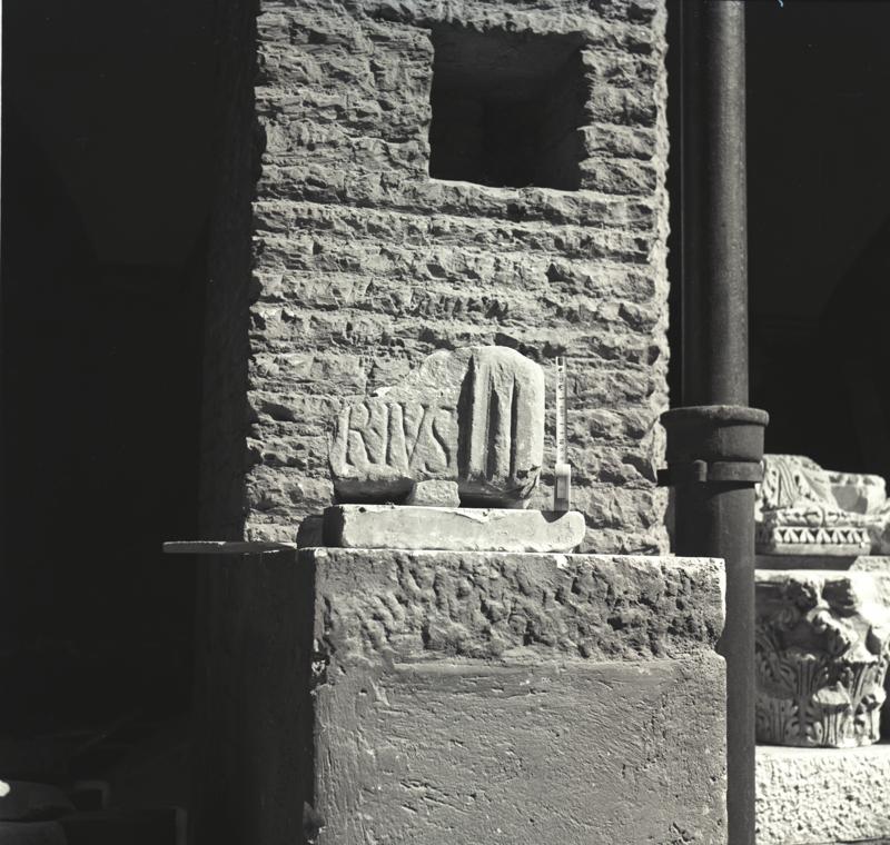 Image41.tif