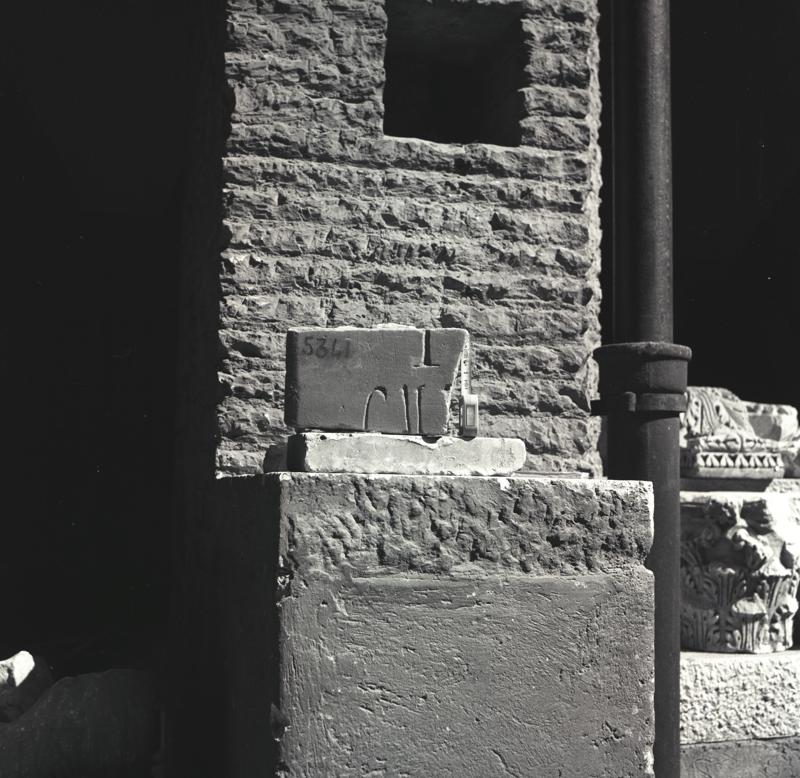 Image44.tif