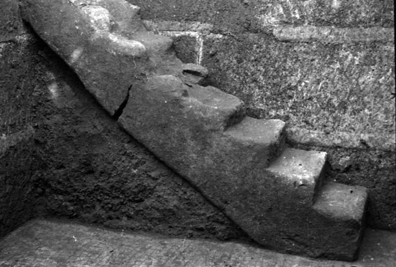 1-00006/ 07548/ 16776 - Roma - Palatino - Accanto al Tempio di Cibele