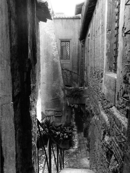008492 - monumento - Chiesa di S. Anastasia: ricognizioni 1983