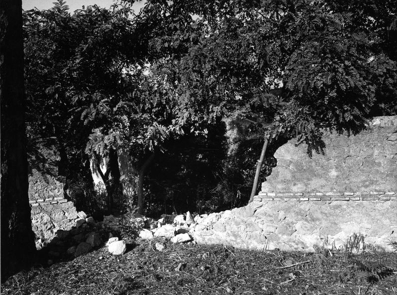 008500 - monumento - Via dei Cerchi: area di S. Anastasia