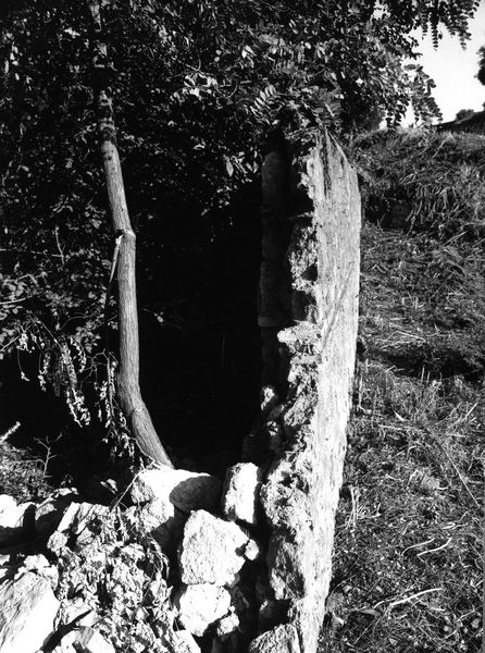 008502 - monumento - Via dei Cerchi: area di S. Anastasia
