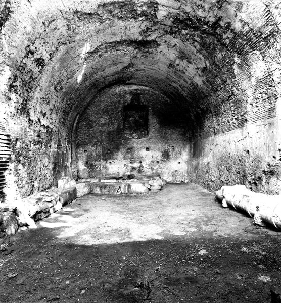 008509 - monumento - Via dei Cerchi, Grottoni: veduta delle strutture