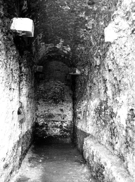008513 - monumento - Via dei Cerchi, Grottoni: veduta delle strutture