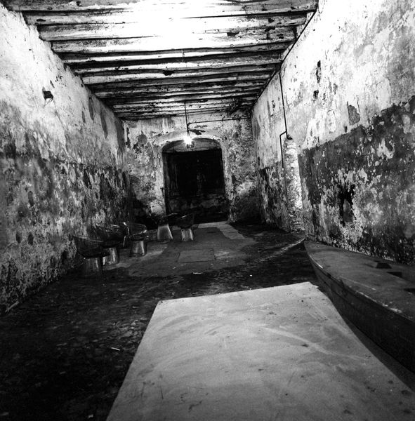008531 - monumento - Via dei Cerchi, Grottoni: interno n.67