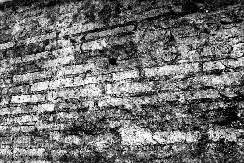 008542 - monumento - Via dei Cerchi, Grottoni: n.81-83