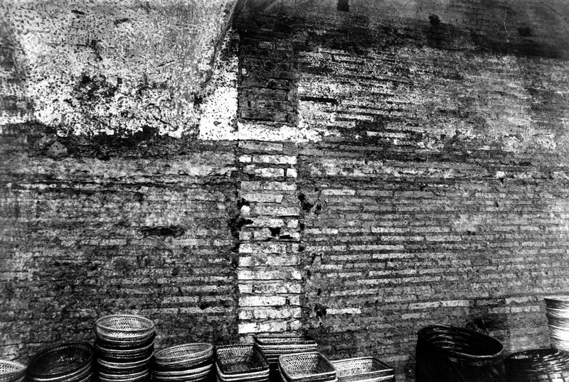 008544 - monumento - Via dei Cerchi, Grottoni: n.81-83