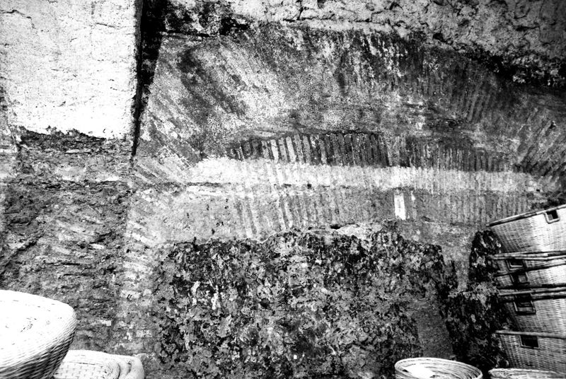 008547 - monumento - Via dei Cerchi, Grottoni: n.81-83