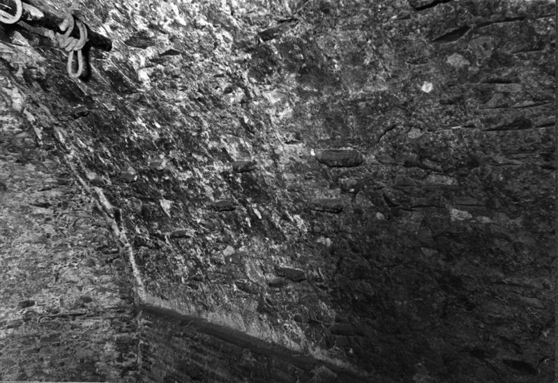 005123 - monumento - Domus Tiberiana, Clivus della Victoriae settore 13-Livello V: ambiente 215, particolare della voltai sul clivus Victoriae