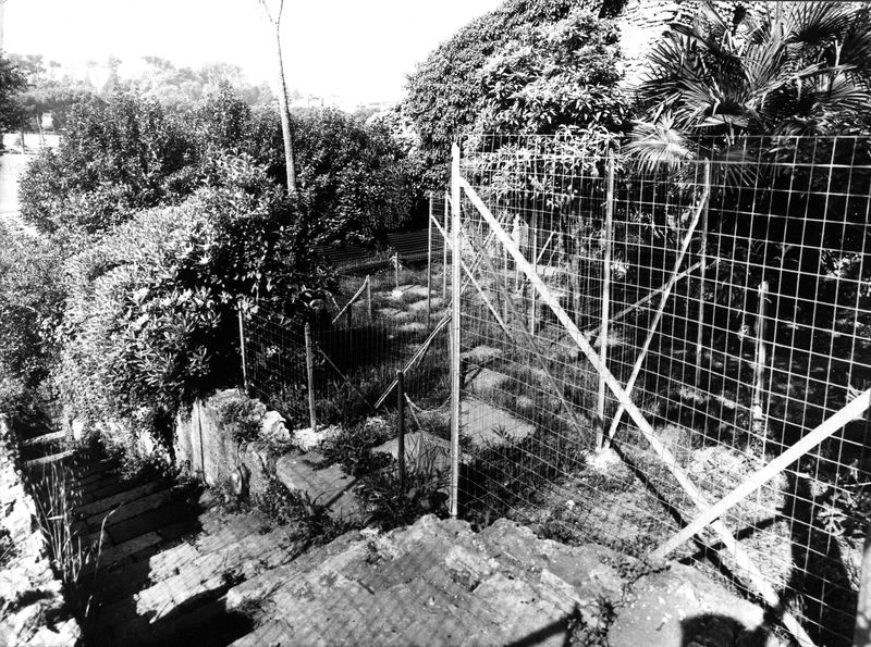008607 - monumento - Palatino, via dei Cerchi n. 93, giardino, le recinzioni (maggio 1986); neg. serie film n. 1686
