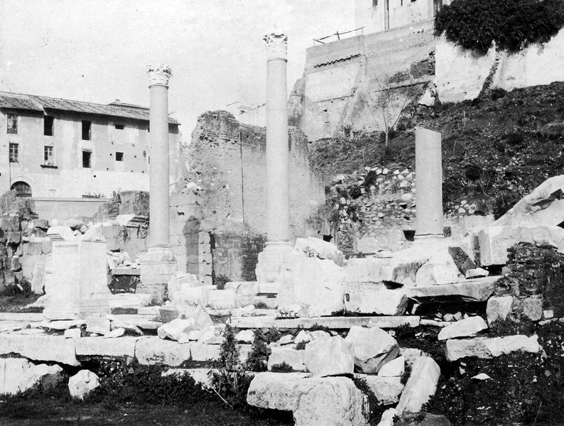 011459 - monumento - Basilica Emilia, cosiddetto "colonnato tardo": consiste in tre colonne in granito che sono state risistemate in situ nel V secolo d.C. su basamenti in marmo bianco. Visione angolo sud. Senza negativo