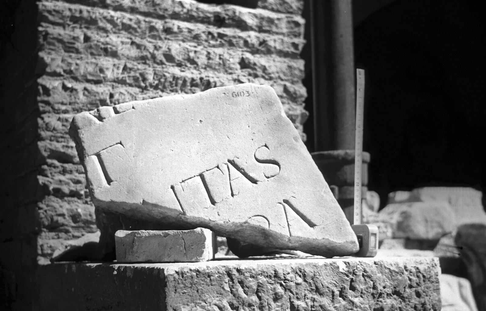 film_00081-028.tif