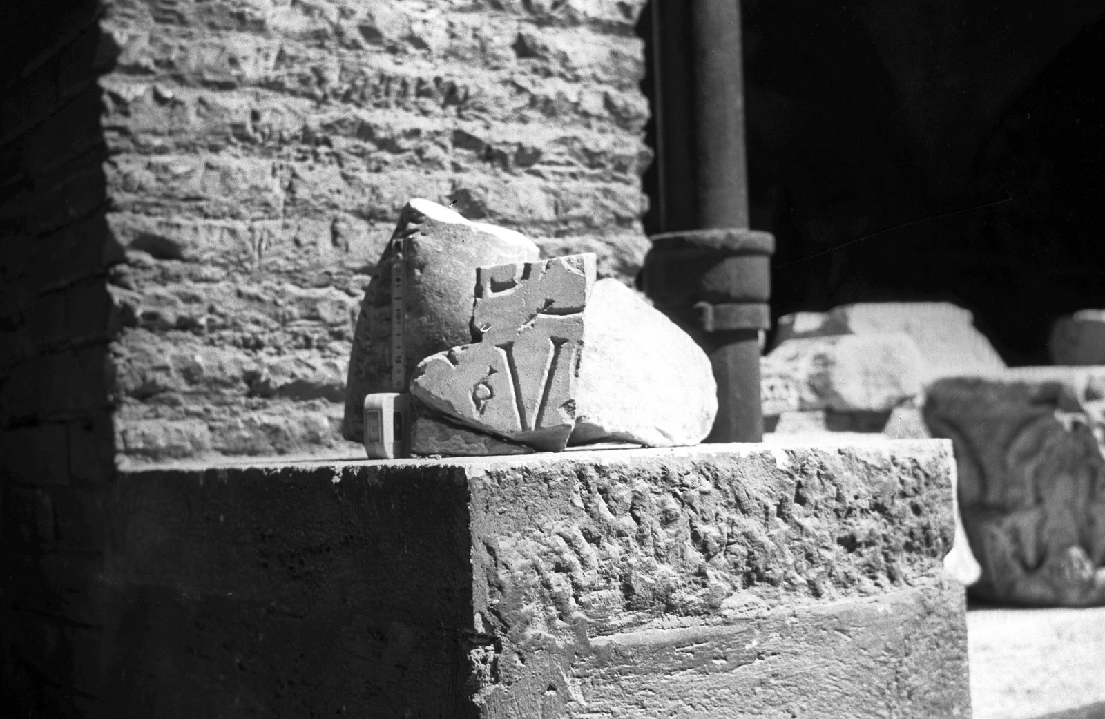 film_00081-064.tif