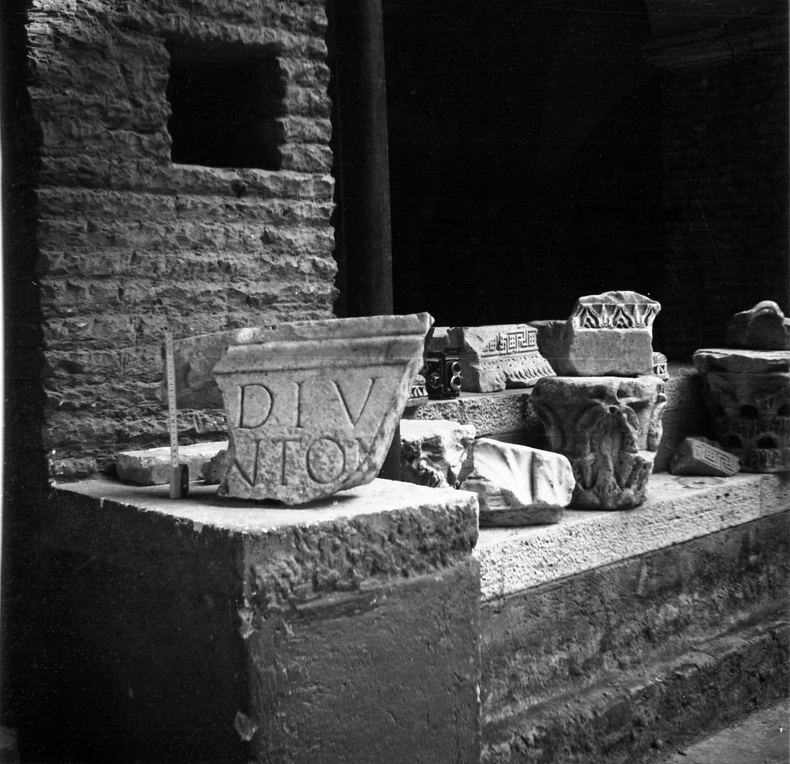 film_00081-072.tif