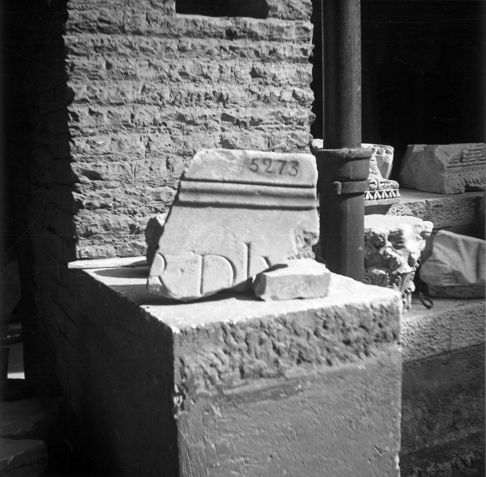 film_00081-076.tif