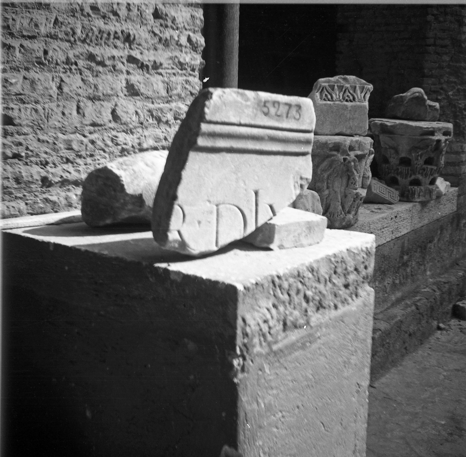 film_00081-078.tif