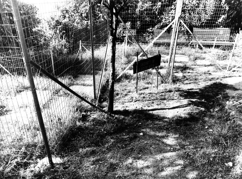 008608 - monumento - Palatino, via dei Cerchi n. 93, giardino, le recinzioni (maggio 1986); neg. serie film n. 1686