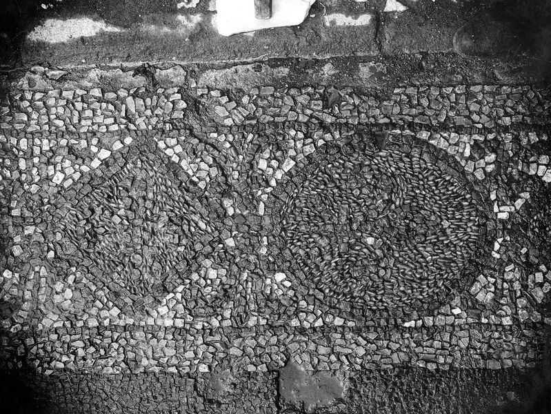 005871 - monumento - Palatino, Horti Farnesiani: particolare della Fontana de li Spechi