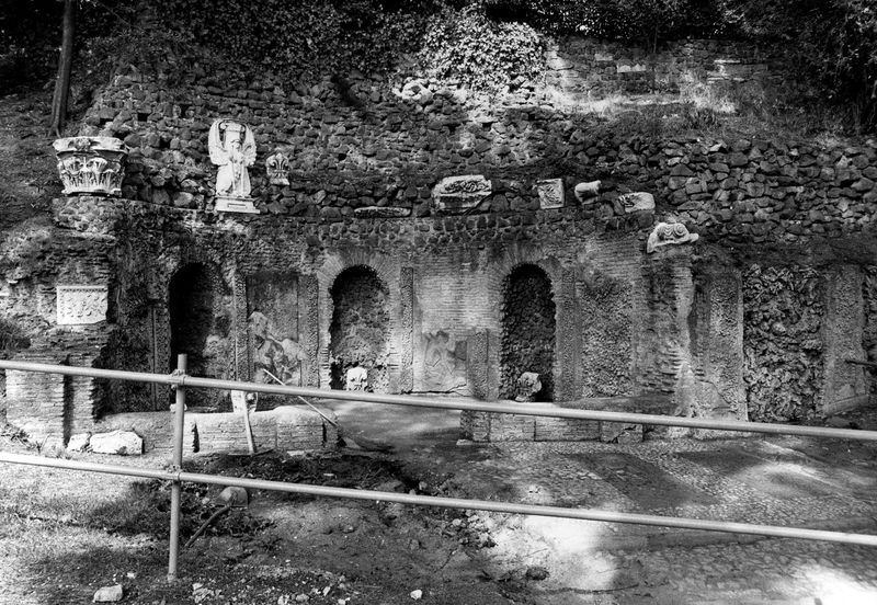 005874 - monumento - Palatino, Horti Farnesiani: particolare della Fontana de li Spechi