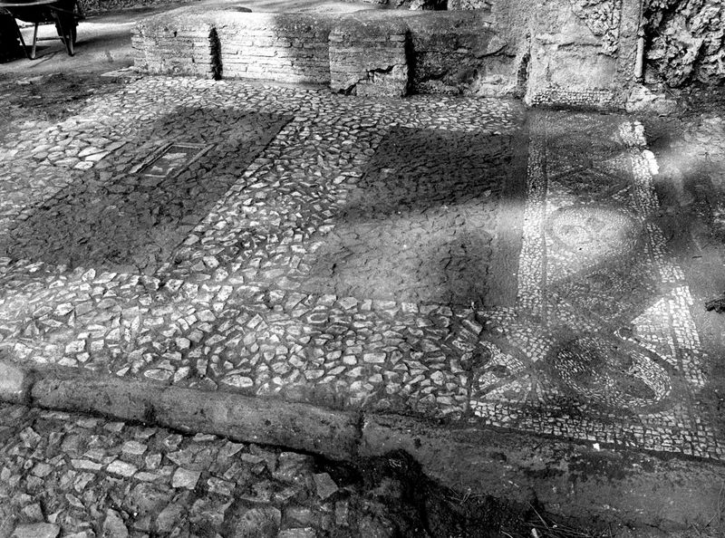 005882 - monumento - Palatino, Horti Farnesiani: particolare della Fontana de li Spechi