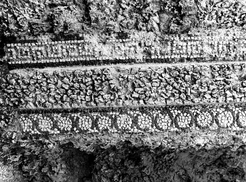 005883 - monumento - Palatino, Horti Farnesiani: particolare della Fontana de li Spechi