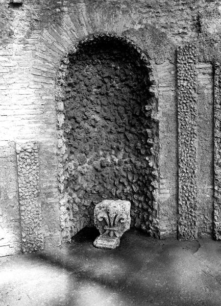 005884 - monumento - Palatino, Horti Farnesiani: particolare della Fontana de li Spechi