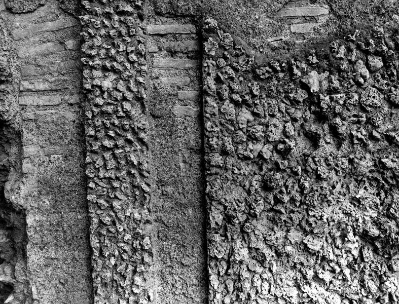 005886 - monumento - Palatino, Horti Farnesiani: particolare della Fontana de li Spechi