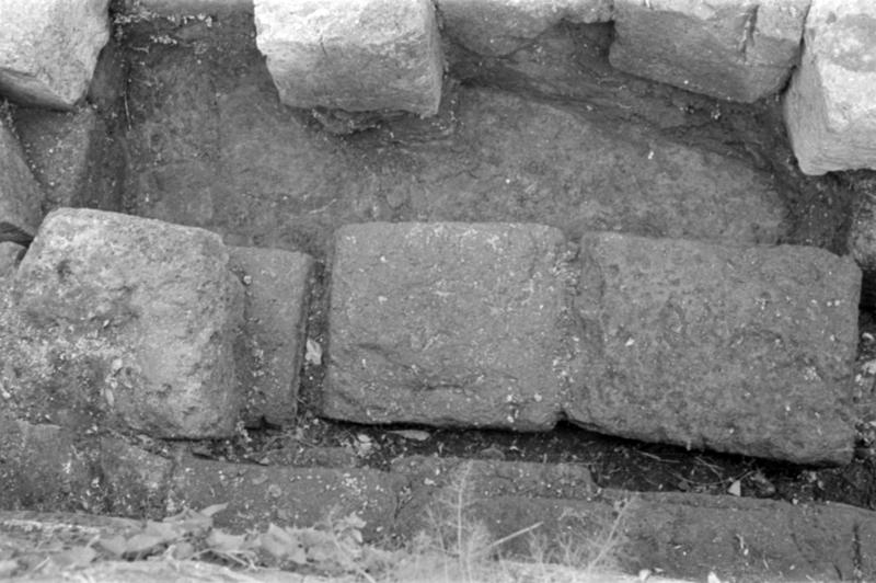 1-00007/ 07549/ 16777 - Roma - Palatino - Germalo