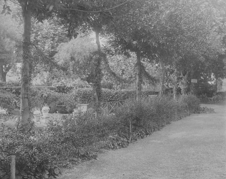 005961 - monumento - Palatino, Horti Farnesiani: giardini, zona dietro le Uccelliere