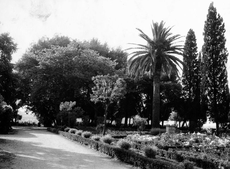 005962 - monumento - Palatino, Horti Farnesiani: i giardini