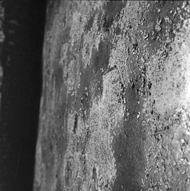 film_00102-004.tif