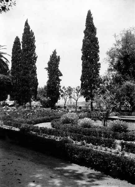 005963 - monumento - Palatino, Horti Farnesiani: i giardini