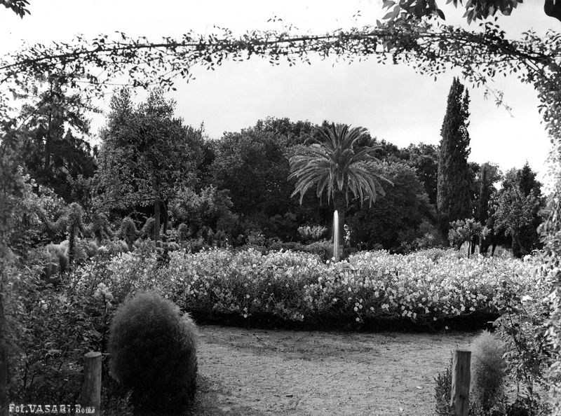 005965 - monumento - Palatino, Horti Farnesiani: i giardini