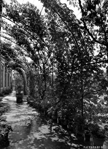 005966 - monumento - Palatino, Horti Farnesiani: i giardini