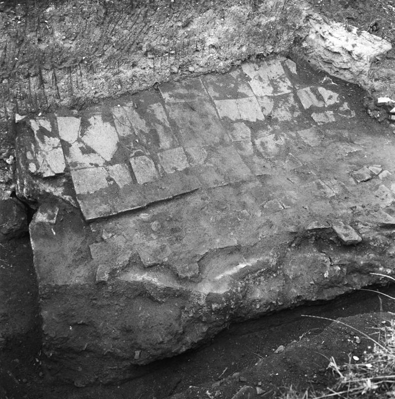 film_00103-016.tif