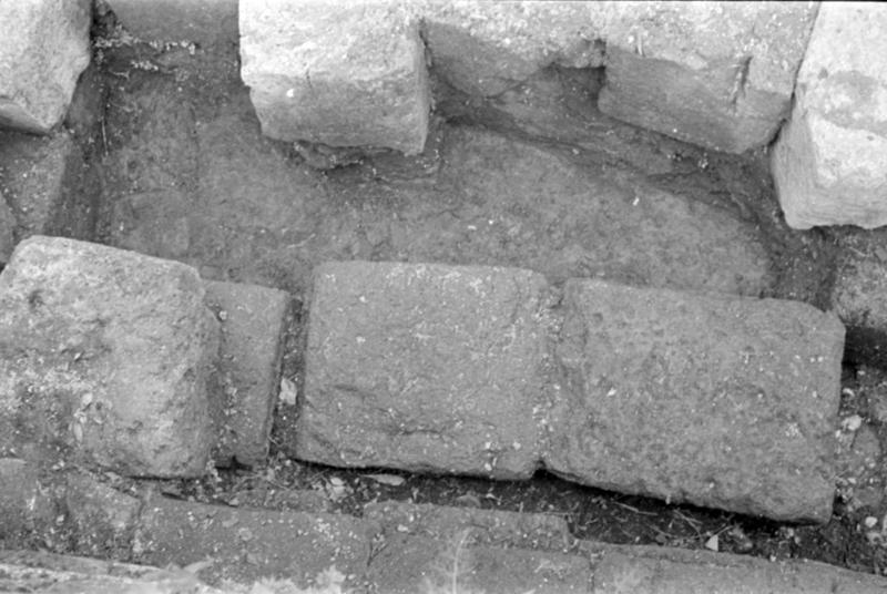 1-00007/ 07549/ 16777 - Roma - Palatino - Germalo
