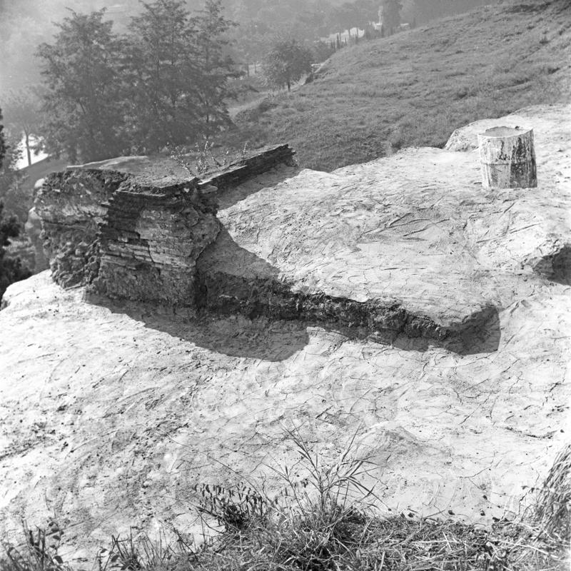 film_00105-005.tif