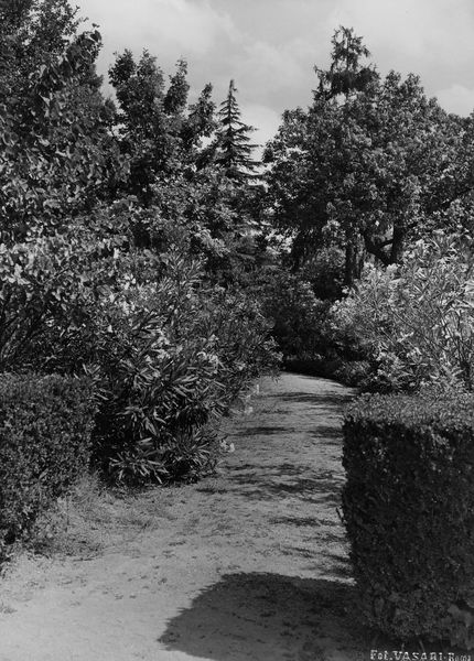 005971 - monumento - Palatino, Horti Farnesiani: i giardini
