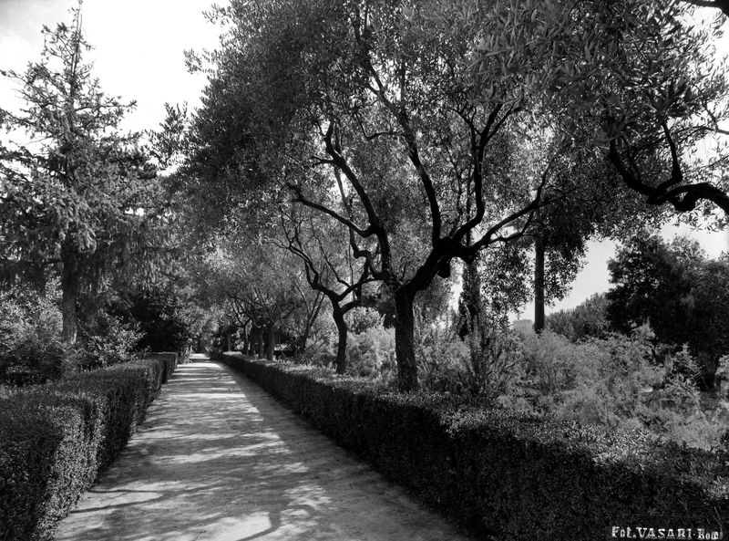 005972 - monumento - Palatino, Horti Farnesiani: i giardini