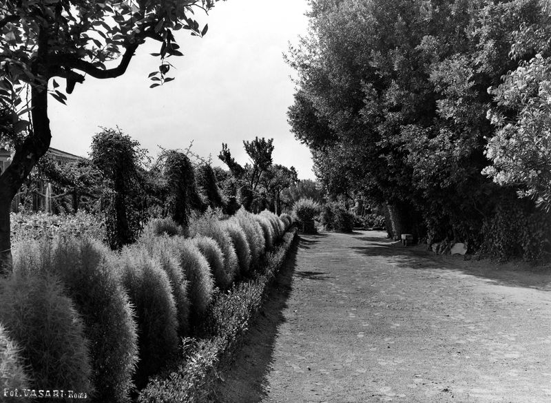 005974 - monumento - Palatino, Horti Farnesiani: i giardini